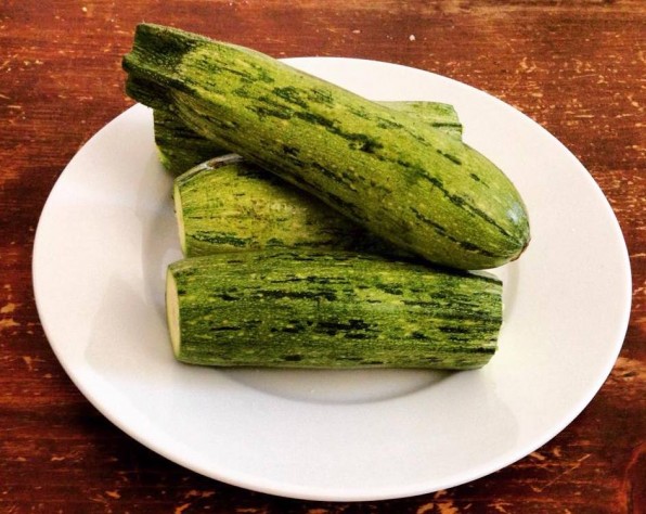 11944970_10207436108608713_629696104_n