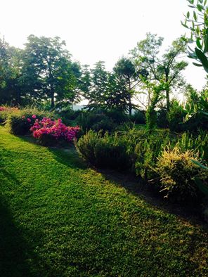 giardino (9)