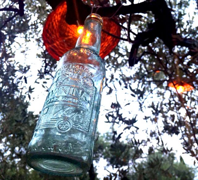 Processed with VSCO with wwf preset